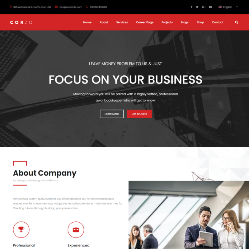 Professional Website Design